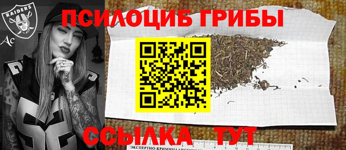 Псилоцибиновые грибы Psilocybine cubensis Батайск